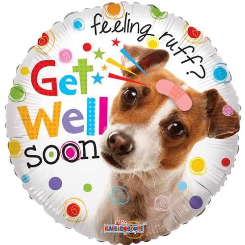 Get well doggy 45cm