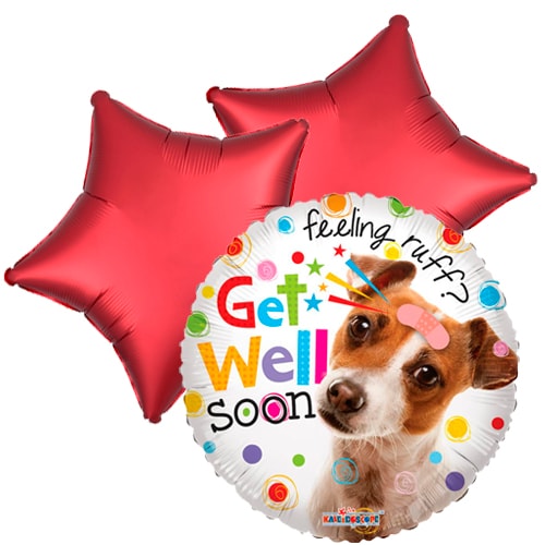 Balloon bouquet Get well soon Doggy