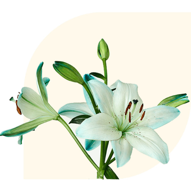 Large funeral arrangements