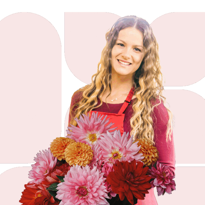 hoofd banner home herfst